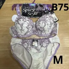 ブラ＆ショーツ　セットアップ　B75