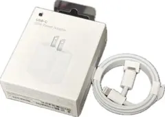 Apple 純正 USB-C アダプタ Lightning ケーブル セット