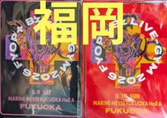 B'z PARTY 限定FYOP+ シャツMサイズ2点 稲葉浩志×SHOEI - メルカリ