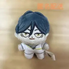 【匿名配送】ゲーム　都市伝説解体センター　廻屋渉　めぐりやわたる　ほわぬい