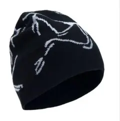 海外ストリート　y2k アークテリクス　グラフィックプリント ブラックニット帽