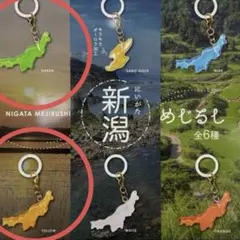 新潟 めじるしアクセサリー