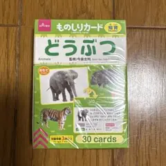 ものしりカード　どうぶつ　知育玩具