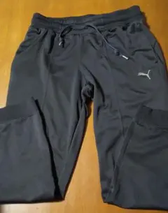 プーマ パンツ ジャージ レディース