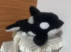 鴨川シーワールド　シャチ　ぬいぐるみ