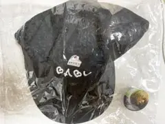 ベイビーわるきゅーれ キャップ 映画『ベイビーわるきゅーれ ナイスデイズ』公式 on X