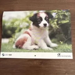 Item thumbnail for item 3eb4d2e1-88aa-4ea3-8dfb-3ced03358e32