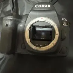 豪華フルセット】Canon EOS-1Ds Mark III 純正バッグ付 - メルカリ
