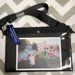 ディズニー　イマジニング　バッグ