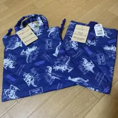 Item thumbnail for item aea2b9e2-8c41-47a0-889c-c493f5ae17d4