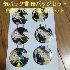 一番くじ　ホロライブ　缶バッジ賞 缶バッジセット　角巻わため　2種3個セット
