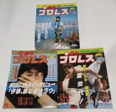 2025年最新】週刊タイガーマスクの人気アイテム - メルカリ