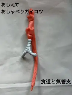 ※大幅値下げ　おしえて！おしゃべりガイコツ Amazon.co.jp: おしえて！おしゃべりガイコツ 57号 [分冊百科