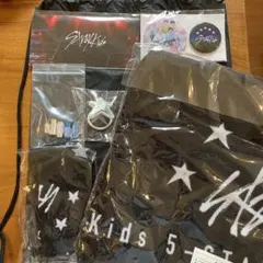 straykids 5-star ドームツアー アプグレ 特典