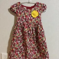 Item thumbnail for item 459f2973-9e63-486e-ab75-2b7e67f7f6ea