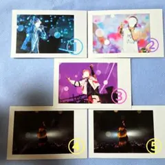 いれいす 実写ランダムチェキ風トレカ