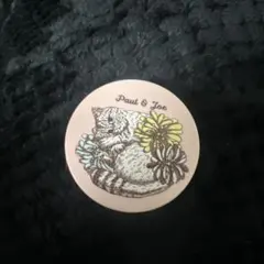 ポール&ジョー　クリーミィブラッシュ リミテッド　チークカラー　A001