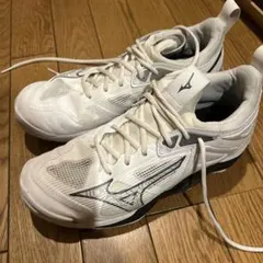 Mizuno バレーボールシューズ ウェーブモーメンタム3 26.0