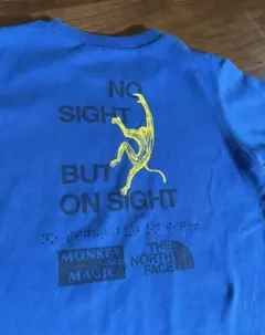 THE NORTH FACE プリントTシャツ 青