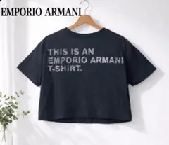 （38）EMPORIO ARMANI バクプリ　Tシャツ
