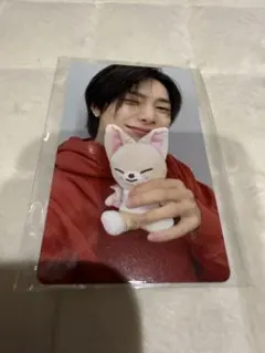 stray kidsアイエンSKZOO ズートピア特典トレカ