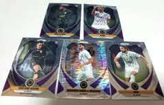 Item thumbnail for item 65cef77f-9162-4445-8986-9b0a59d096b7