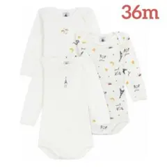 Item thumbnail for item 602efa80-37a5-4145-bc6b-3e213108eadb