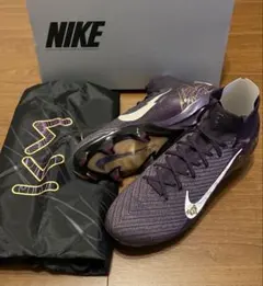 Item thumbnail for item 58d6e171-e485-44d3-b3d4-120a6ec94f45