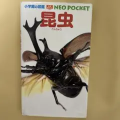 昆虫　小学館の図鑑　ネオ