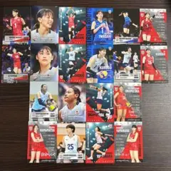 バレーボール女子日本代表2025 岩崎こよみ、黒後愛など 20枚セット