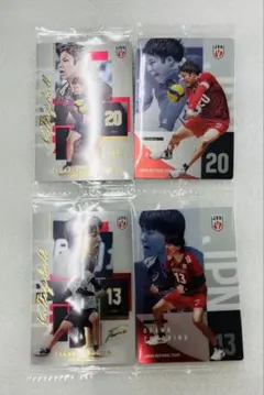 バレーボール日本代表 カード 4セット ウエハース