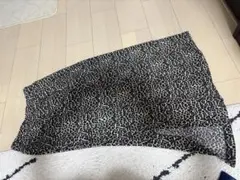 RASVOAのサムネイル