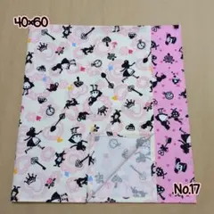 No.17 ランチョンマット2枚セット 40×60