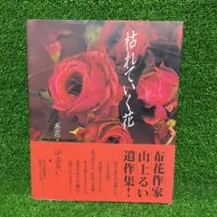 2025年最新】山上るい 枯れていく花の人気アイテム - メルカリ