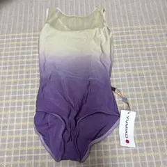 Item thumbnail for item 421cf1fa-7508-4622-bf19-5ea2045f4e56