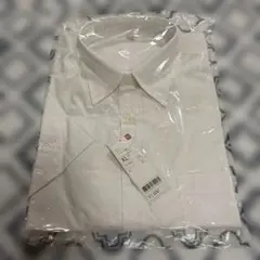 Item thumbnail for item 45d0c88b-5265-4286-bece-6dbb832924bd