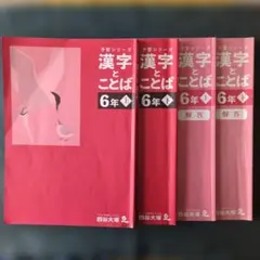2026年最新】四谷大塚 予習シリーズ 5年 2023 漢字とことばの人気