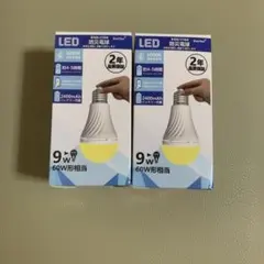 DanYee 蓄電型LED防災電球 2個セット 60W形相当（箱にキズあり）のサムネイル