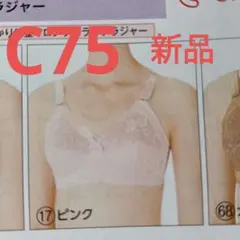 2026年最新】シャルレ FA023の人気アイテム - メルカリ