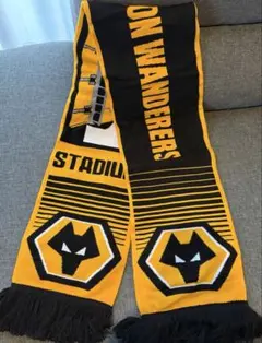 WCS2016 Scarf スカーフ ポケモン ポケットモンスター - メルカリ