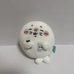 ナガノ水族館　アザラシぬいぐるみくじ　しお