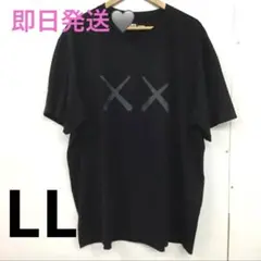 新品 XLUNIQLO KAWS Tシャツ　ユニクロ カウズ ウォーホル