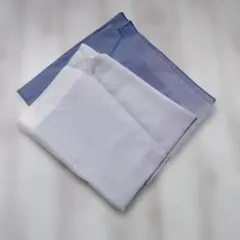 Item thumbnail for item 11ac8f7f-78ed-466a-b7a7-ef5fa28ec47f