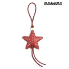 【 新品未使用品 H&M スターフィッシュ バッグチャーム 】