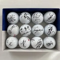 Item thumbnail for item 12f12d56-ef41-4ab0-8966-af5a86be1f9d