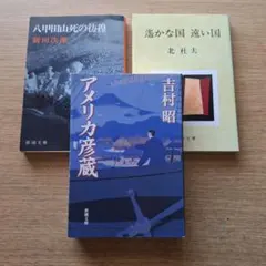 日本文学 小説3冊セット 吉村昭 新田次郎 北杜夫 新潮文庫 まとめ売り
