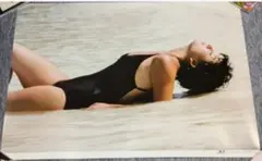 Sommer Ray サイン入り写真 証明書付き Sommer Ray サイン入り写真 証明書付き - メルカリ