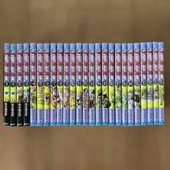 24H以内発送 美品 スティールボールラン ジョジョ 全巻 荒木飛呂彦
