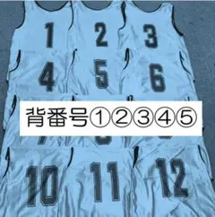 【新品】ビブス５枚セット　大人サイズ　背番号①②③④⑤　ライトブルー