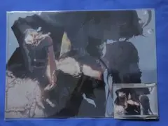 カンタレラ　初音ミク　KAITO　Rella　クリアファイル　クリアカード